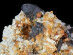 Dark Smoky Quartz Crystals with Spessartine Garnets #51035-1